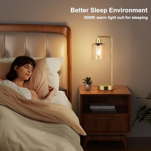 Aooshine Industrial Touch Bedside Lamps Set of 2 | Gold with USB C+A