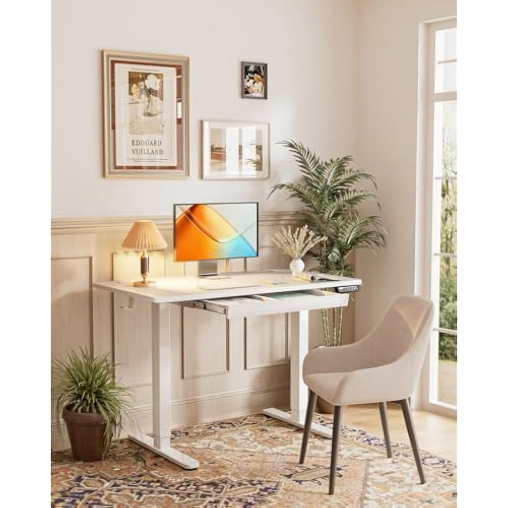 ErGear Electric Standing Desk | 160x80cm Height Adjustable Table with Drawer