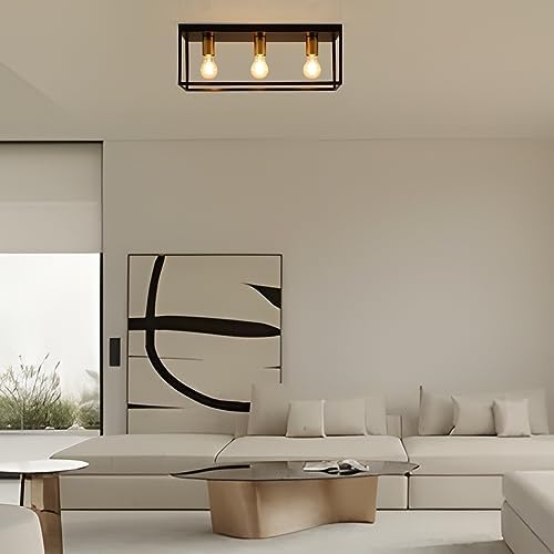 Jolof Store 3-Light Industrial Flush Mount Black Metal Cage Ceiling Light
