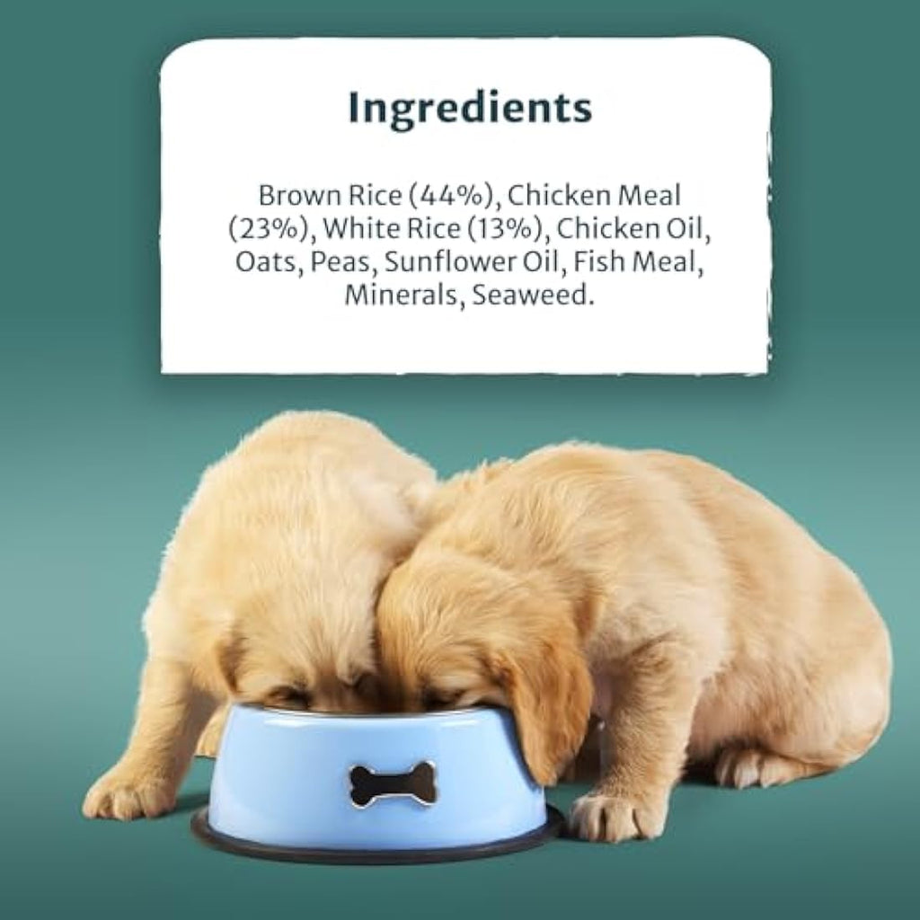 Burns Pet Nutrition Puppy Mini Chicken & Rice Dry Dog Food – 6kg