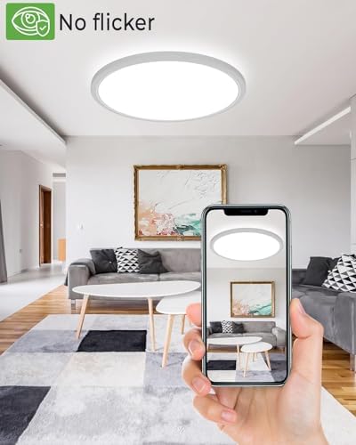 Zemty 36W LED Ceiling Light | 42cm Ultra Thin 3-Color Flush Mount Lamp