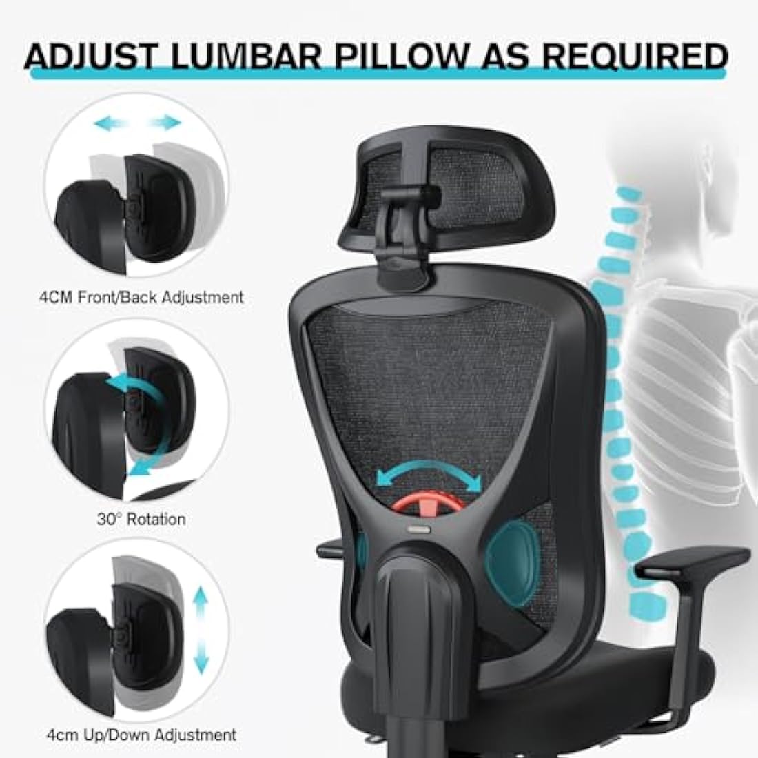 Eucladoceros Ergonomic Mesh Office Chair | 3D Lumbar Support & Armrests