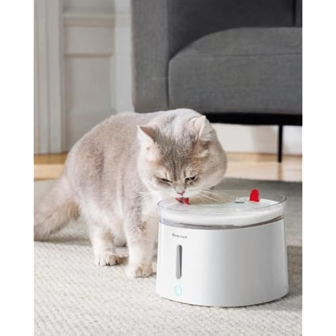 Homerunpet Porcelain Cat Water Fountain – 2L Ultra Quiet Wireless Pump