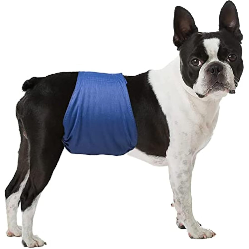LeerKing Male Dog Belly Bands – Leakproof Reusable Diapers, 3 Pack, XXXL