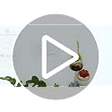 T4U Mini Ceramic Succulent Pots with Drainage - Set of 6 Porcelain Planters