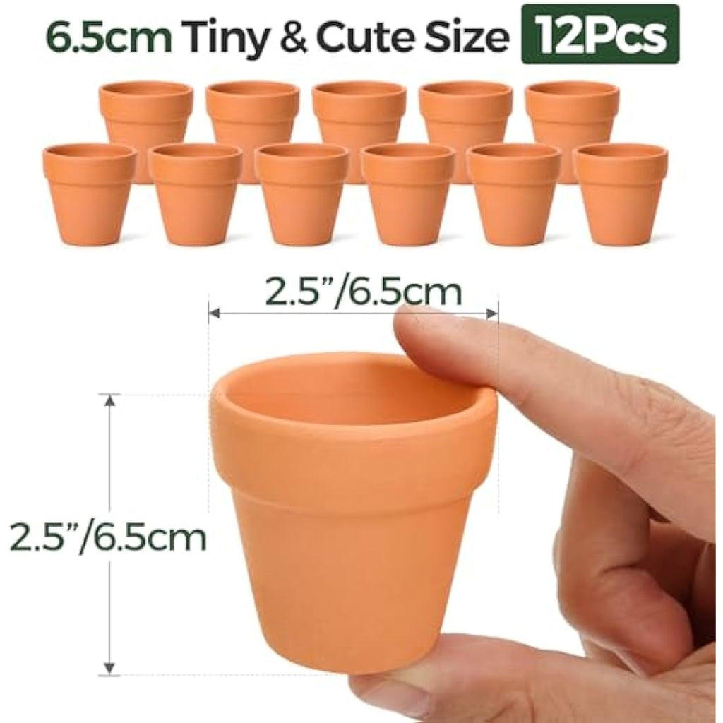 T4U Mini Terracotta Plant Pots - 12 Pcs Small Clay Pots for Succulents