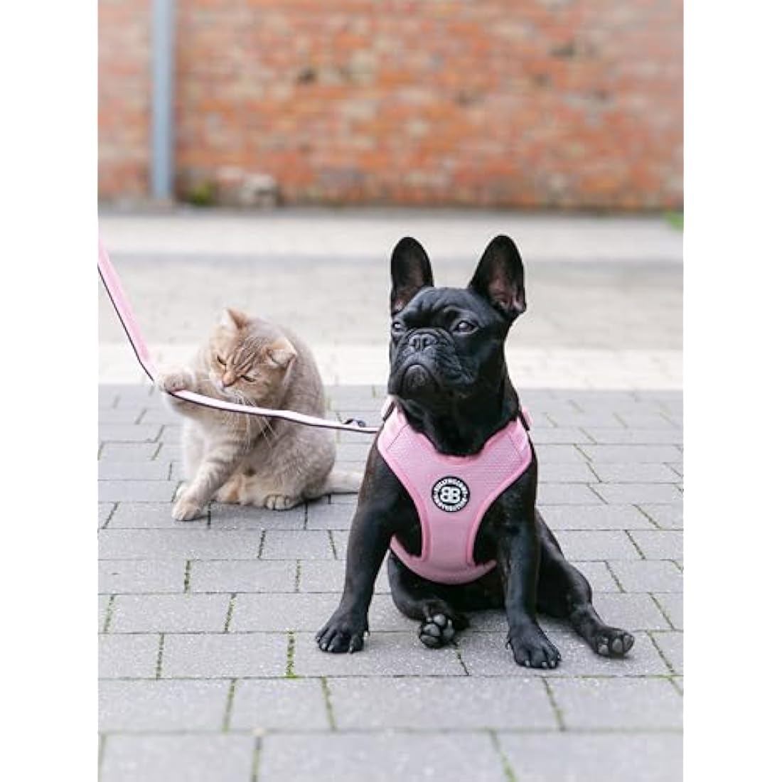BullyBillows Active Light Dog Harness | Padded Reflective Nylon | Pink XL