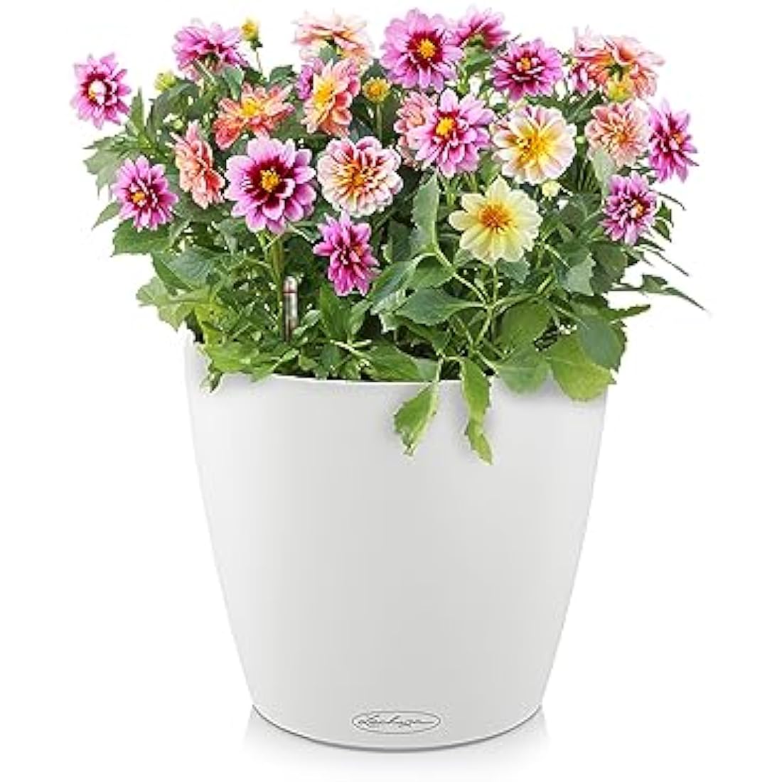 Lechuza Classico Color 60 Self-Watering Planter | Large White Poly-Resin