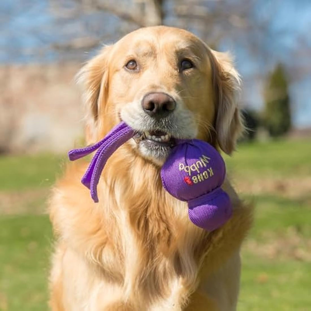 KONG Wubba Dog Toy – Durable Squeaky Tug & Toss Toy, X-Large