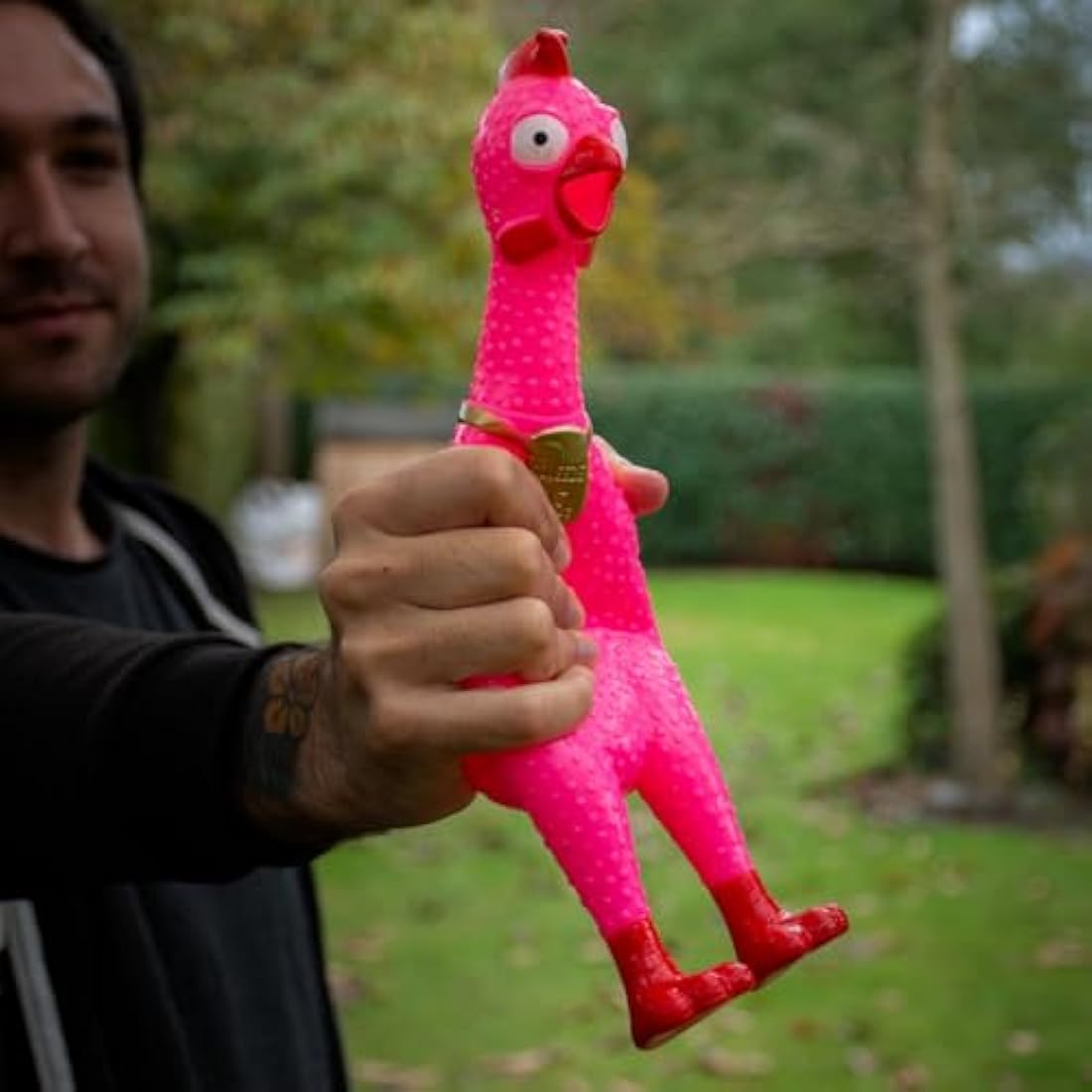 Animolds Squeaky Stress Chicken Toy – Medium 30cm Assorted Colors