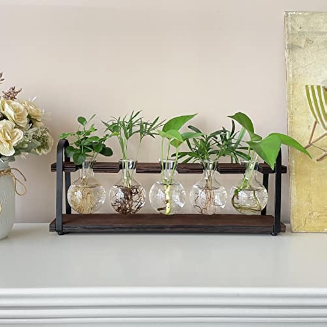 Jolof Store Retro Plant Propagation Station | Glass Bulb Vase Terrarium
