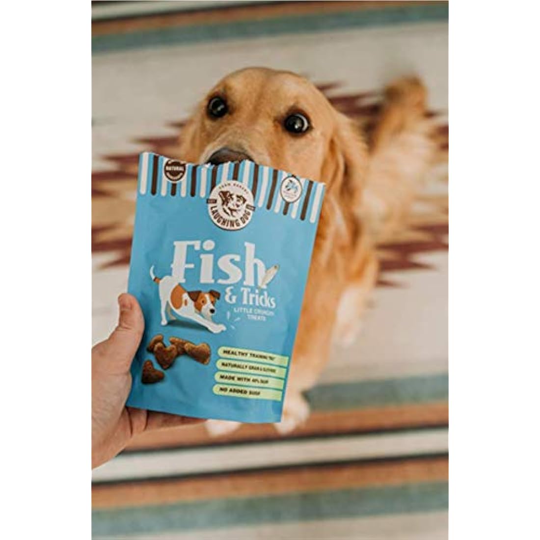 Laughing Dog Fish & Tricks Grain Free Salmon Training Treats – 125g