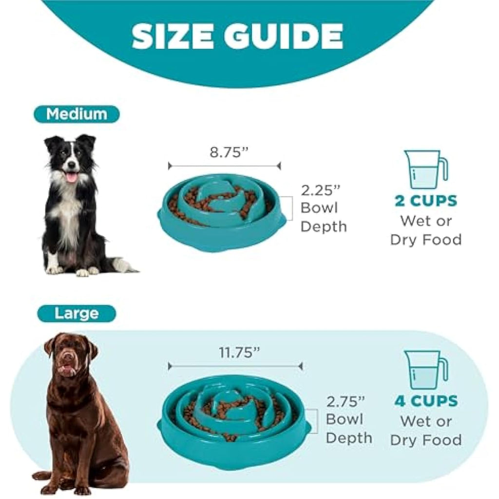Outward Hound Slow Feeder Dog Bowl | Large Turquoise Fun Feeder