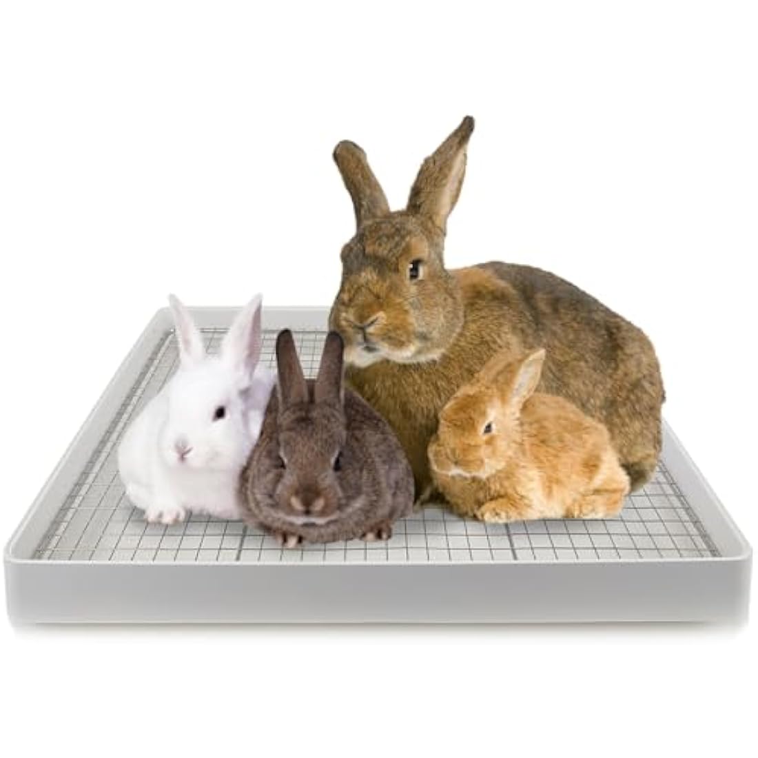 Large Rabbit Litter Box – 22x18 Tray with Dual Grates
