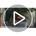 LECHUZA CUBICO Premium 40 Self-Watering Planter - Black High Gloss