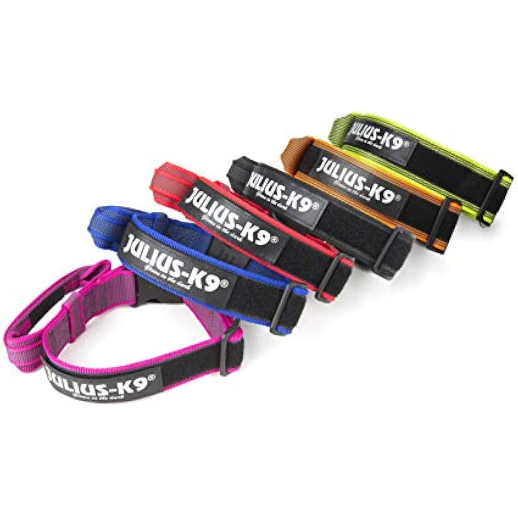 Julius-K9 Color and Gray Dog Collar with Handle - Neon-Gray, 50mm