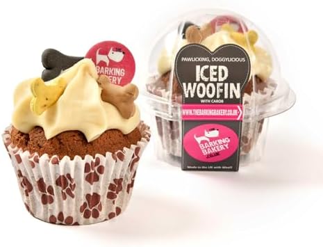 Vanilla Dog Birthday Cake – Iced Cupcake Puppy Treat