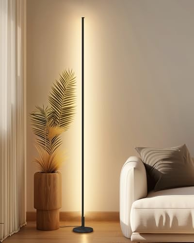 TACAHE Minimalist Corner Floor Lamp | Dimmable LED Mood Light with Remote