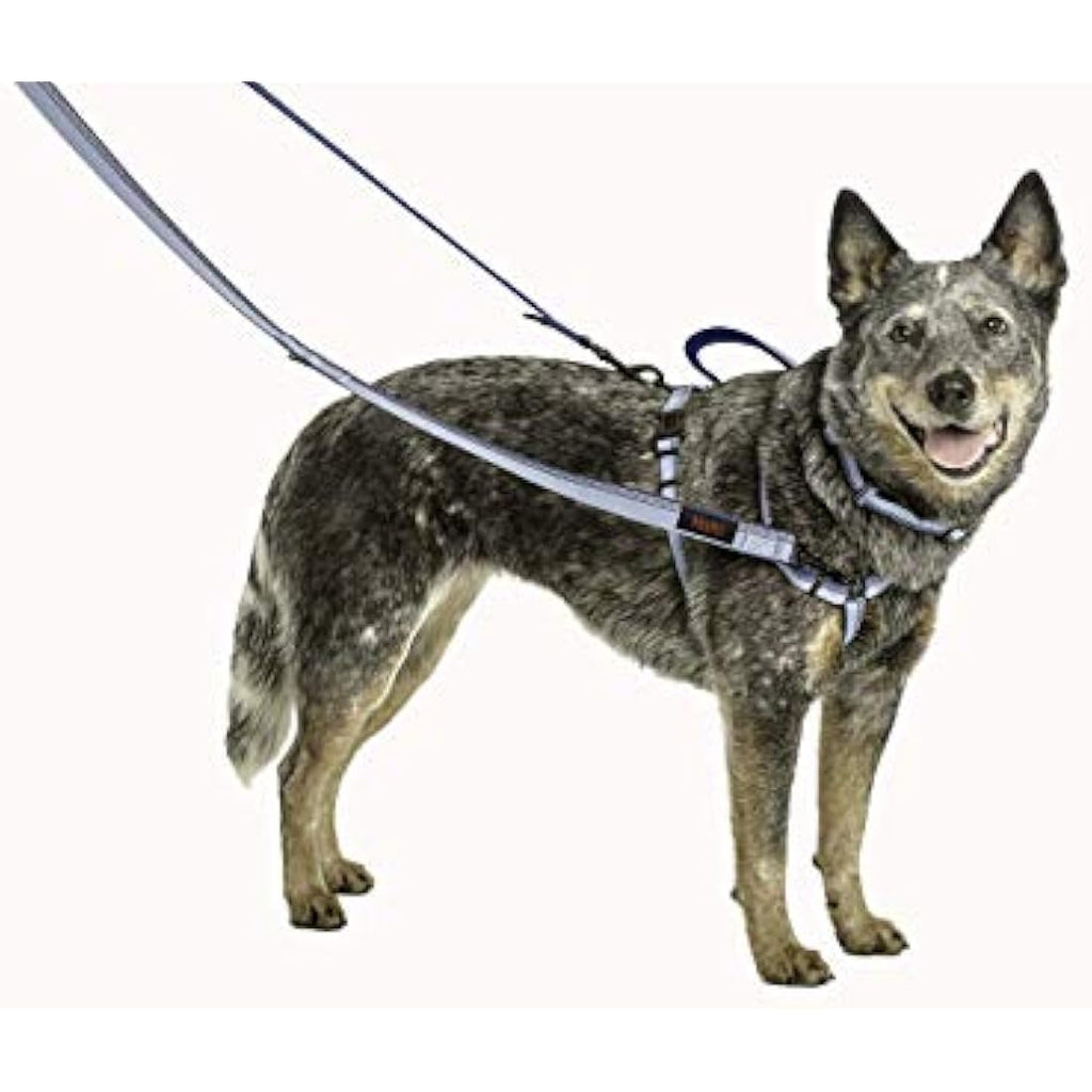 Halti Double-Ended Dog Lead | Reflective Neoprene Training Leash, Red, Small