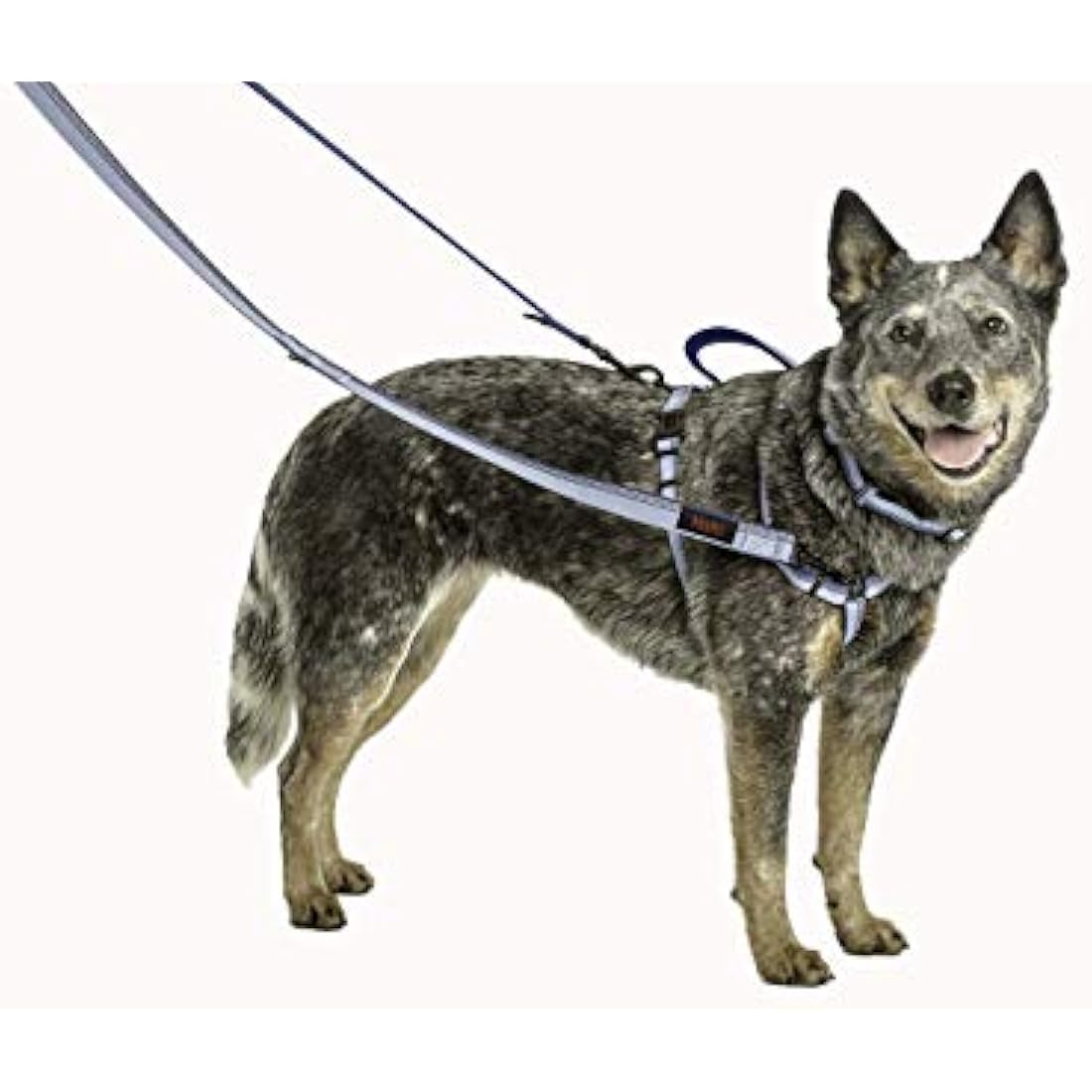 Halti Double-Ended Dog Lead | Reflective Neoprene Training Leash, Red, Small