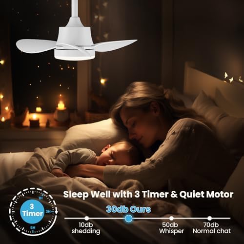 Newday 24" Small White Ceiling Fan with Dimmable LED Light and Remote