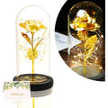 TINYOUTH 24K Gold Eternal Rose in Glass Dome with LED Lights | Jolof Store