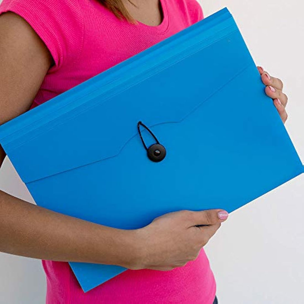 D.RECT A4 Expanding File Folder | 12-Pocket Document Organiser - Blue
