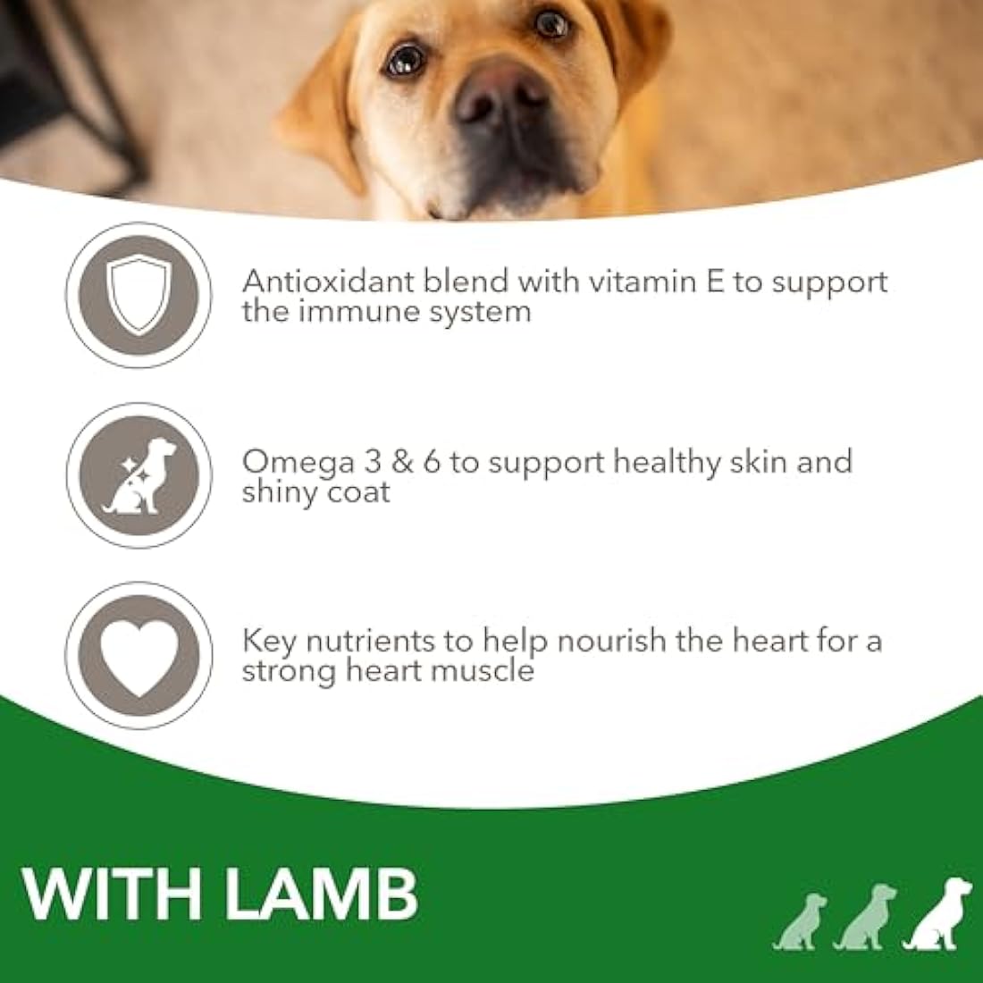 IAMS Adult Large Breed Dry Dog Food – Lamb & Rice Wheat Free 12kg