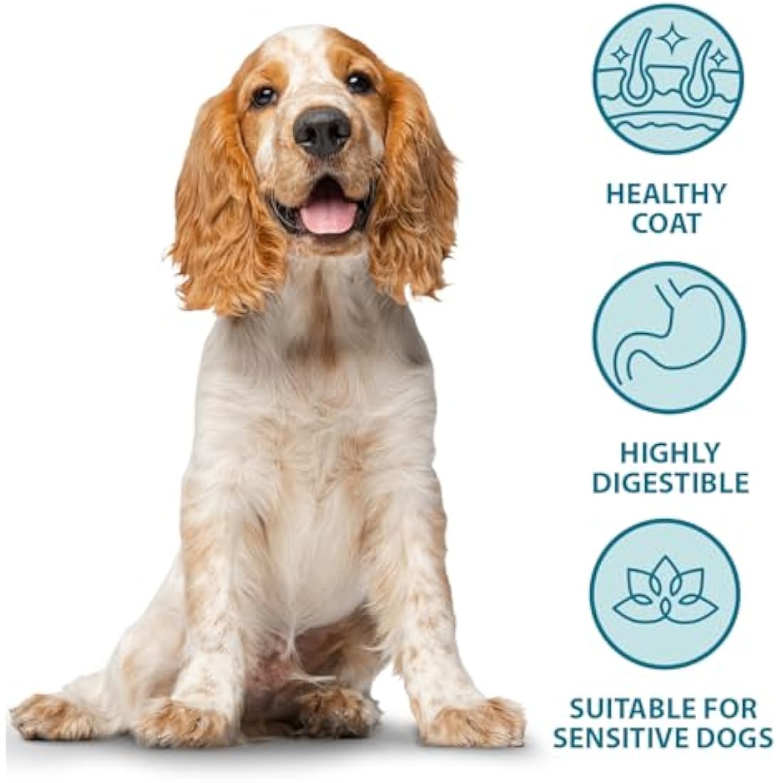 Burns Pet Nutrition Hypoallergenic Chicken Dry Dog Food - 6kg