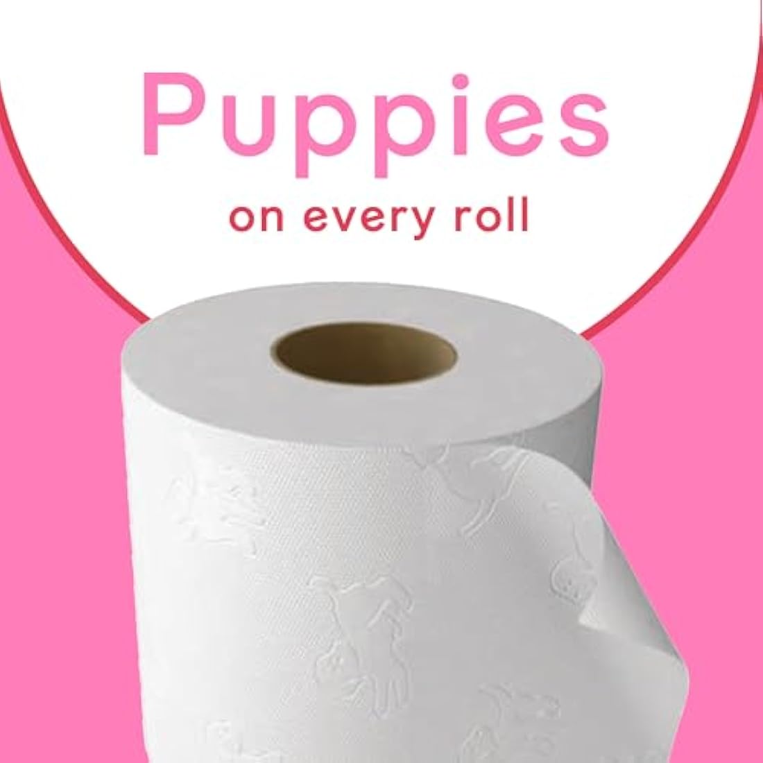 Andrex Family Soft Toilet Paper – 24 Bulk Rolls | 170 Sheets Per Roll