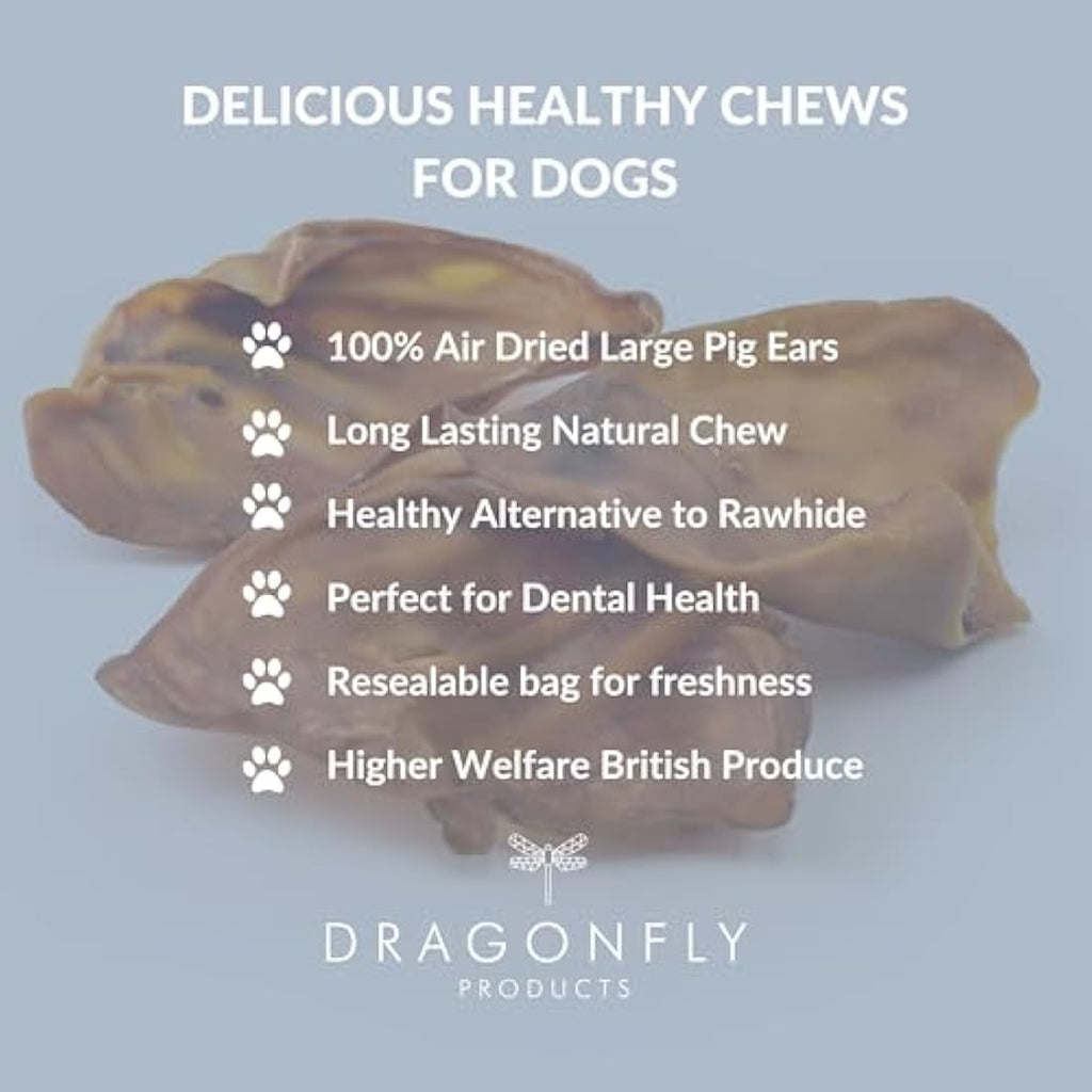 Jolof Store Pigs Ears for Dogs | 25 Large British Pork Ear Dental Chews