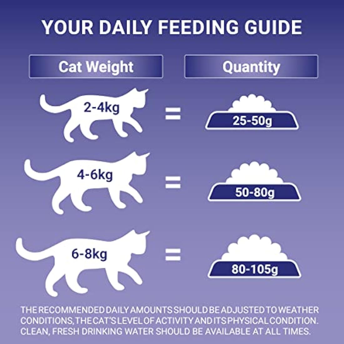 Purina One Senior 7+ Salmon Dry Cat Food - 750g Kibble (Pack of 4)