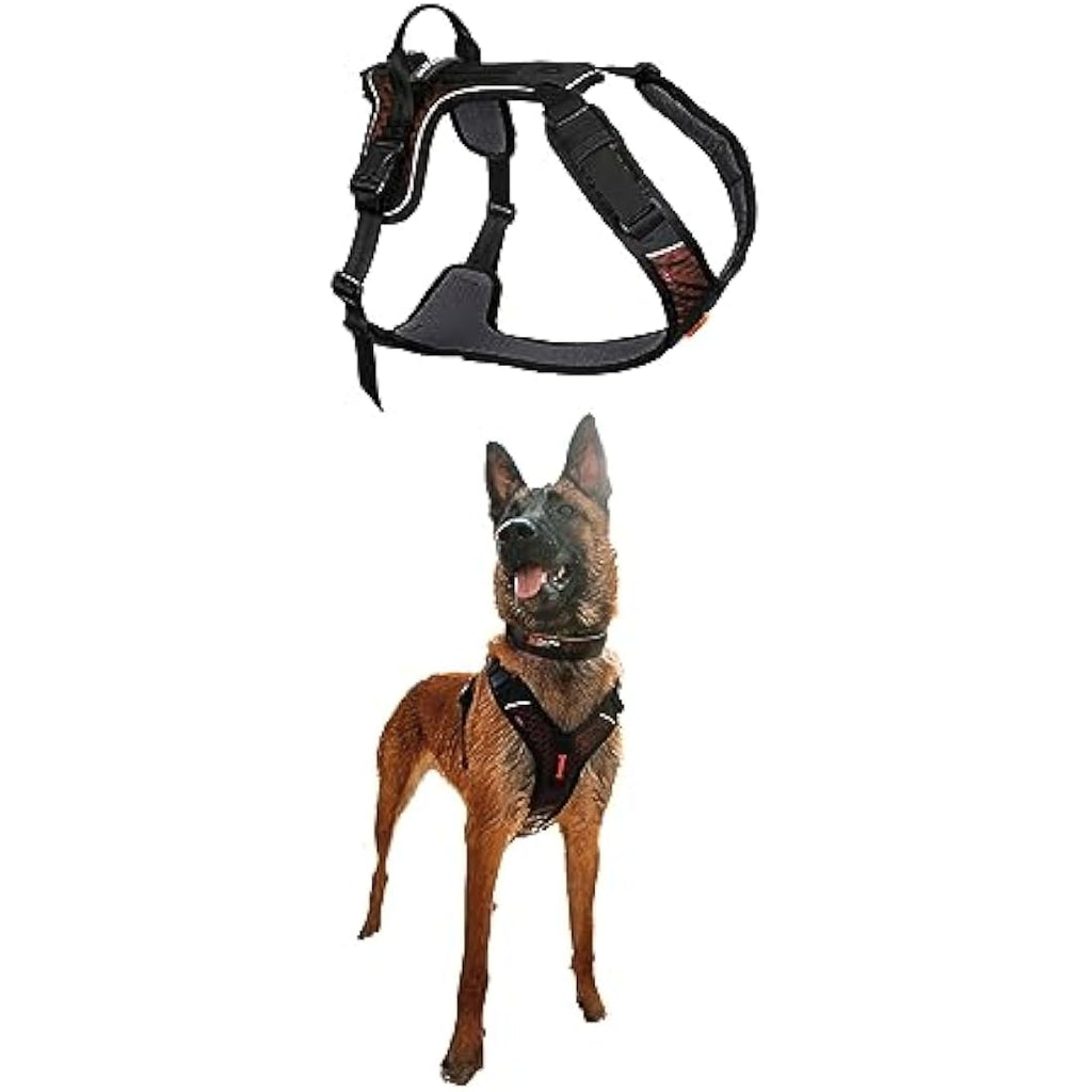 Rock Climbing Harness - Small Safety Gear for Outdoor Sports