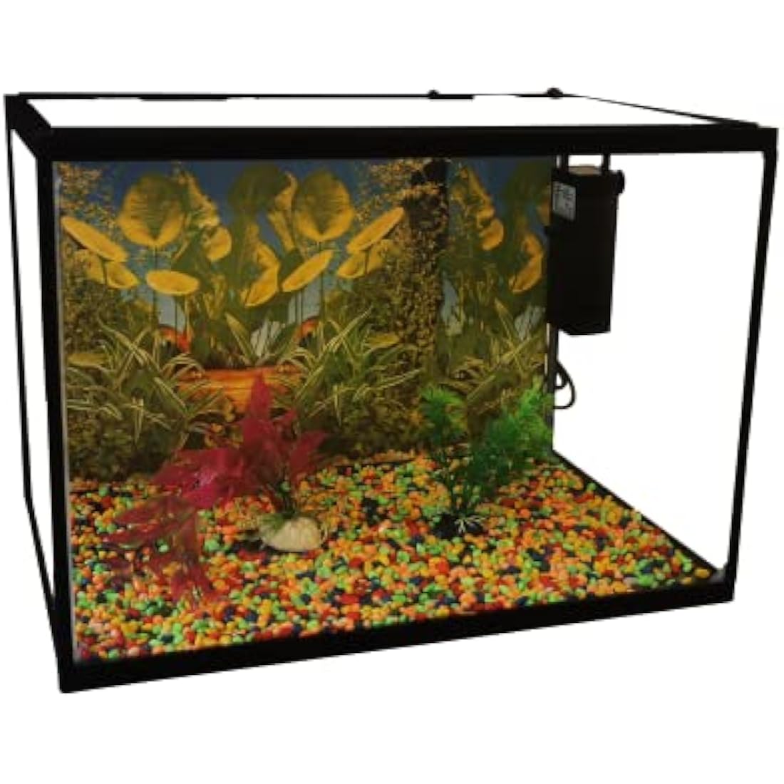 Jolof Store 26L Glass Aquarium Starter Kit with LED Light & Filter