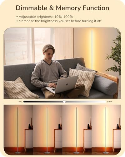 EDISHINE LED Floor Lamp | Dimmable Minimalist Silver Corner Standing Lamp