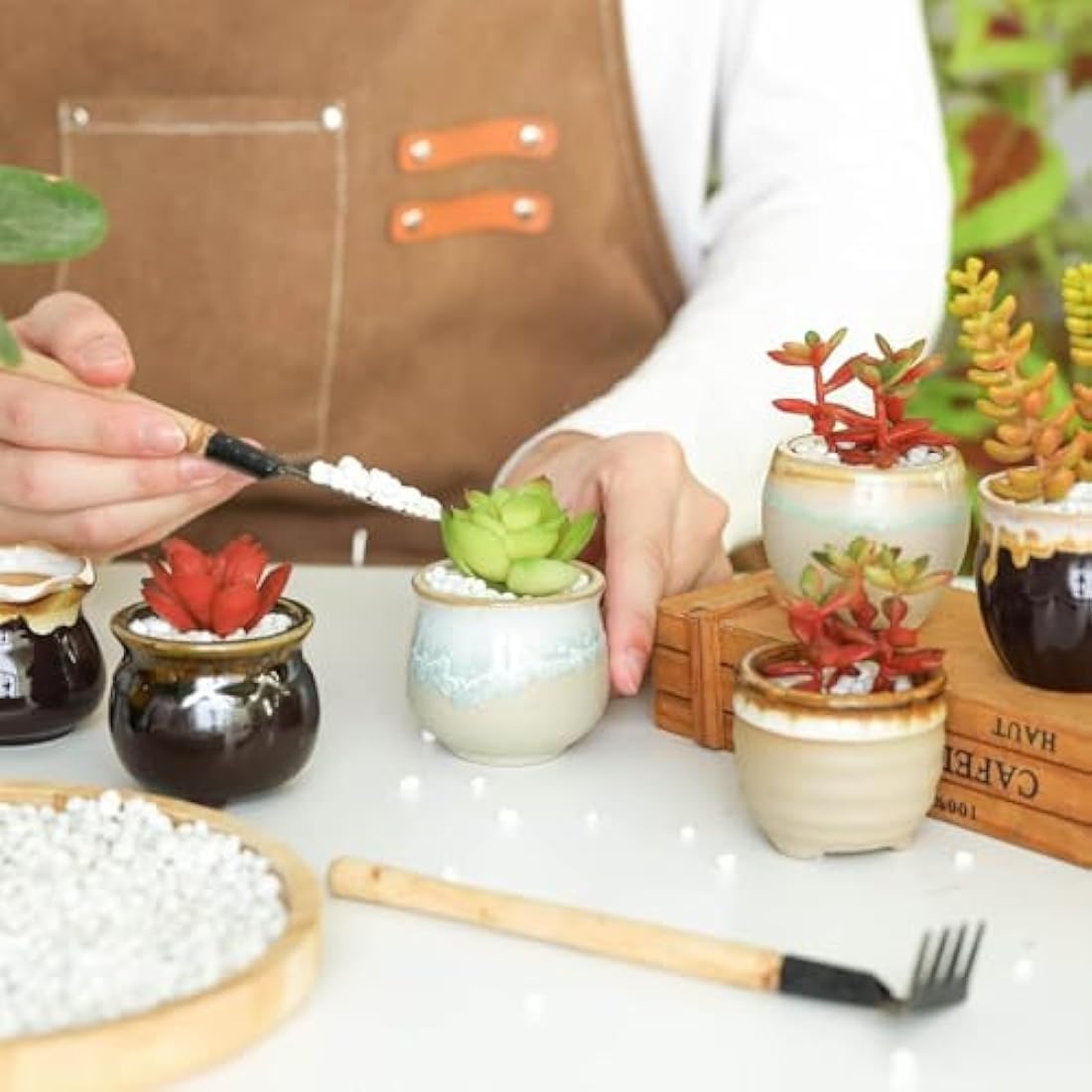 T4U Mini Ceramic Succulent Pots with Drainage - Set of 6 Porcelain Planters
