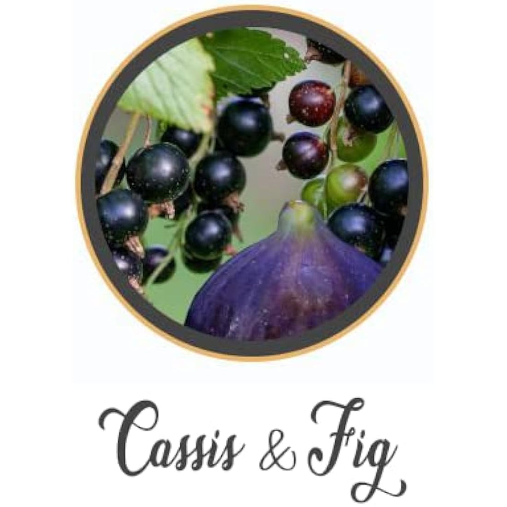 Jolof Store Cassis & Fig Hand Soap & Body Wash - Vegan & SLS Free 250ml