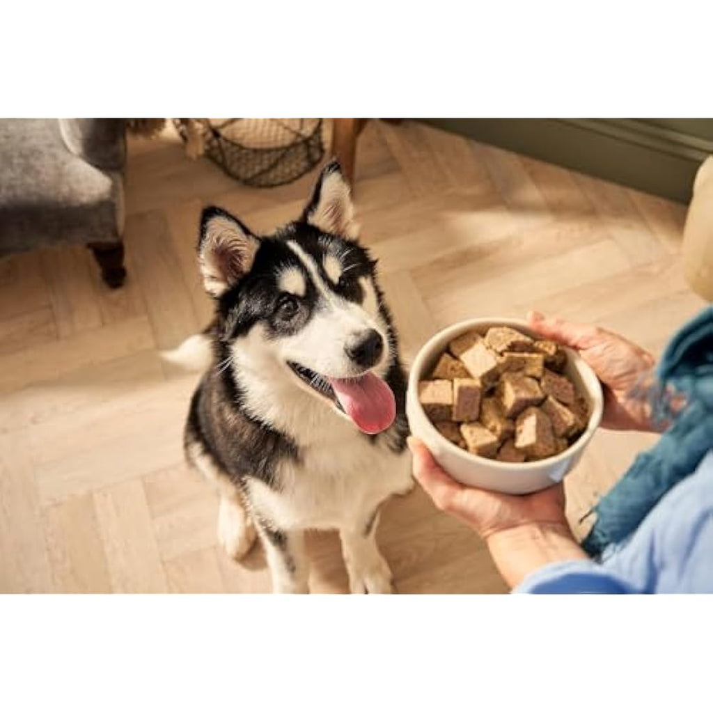 Forthglade Puppy Wet Dog Food Variety Pack - Chicken & Duck (12 x 395g)