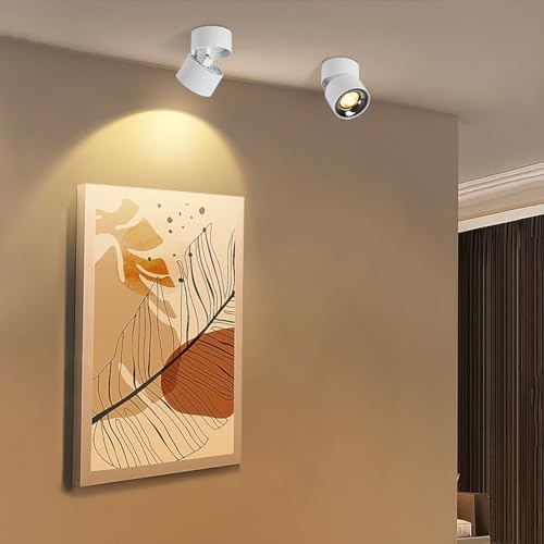 Budbuddy 12W LED Ceiling Spotlights | Adjustable White Surface Downlight