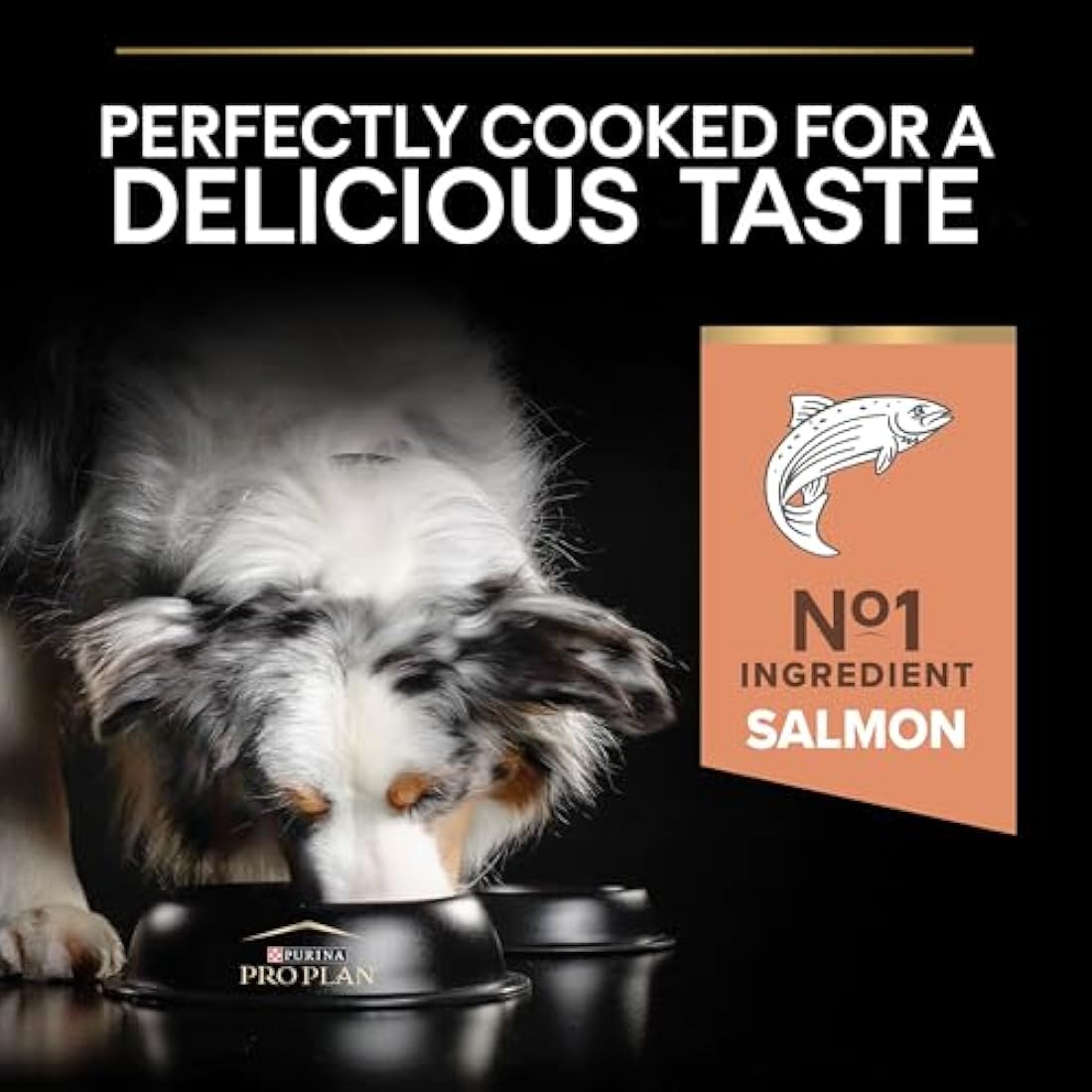 Pro Plan Medium Adult Sensitive Skin Salmon Dry Dog Food - 3kg