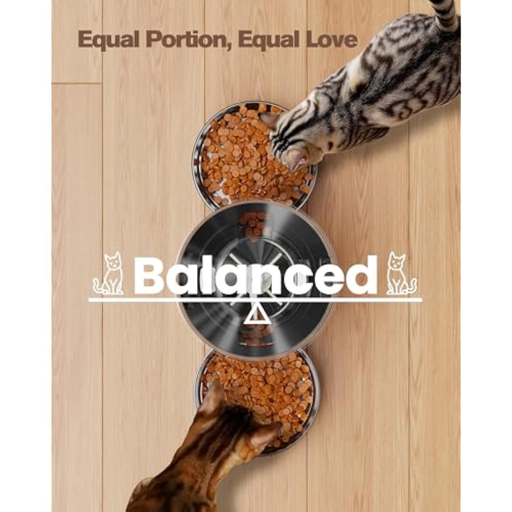 Jolof Store Automatic Cat Feeder for 2 Cats | 5L Stainless Steel Dispenser