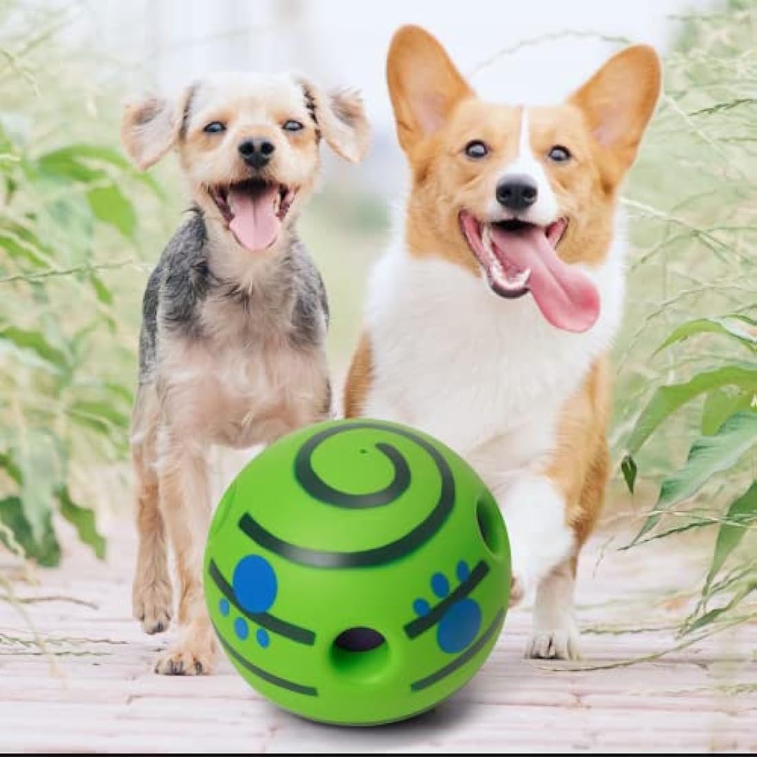 Jolof Store Interactive Giggle Ball – Squeaky Dog Toy for Boredom