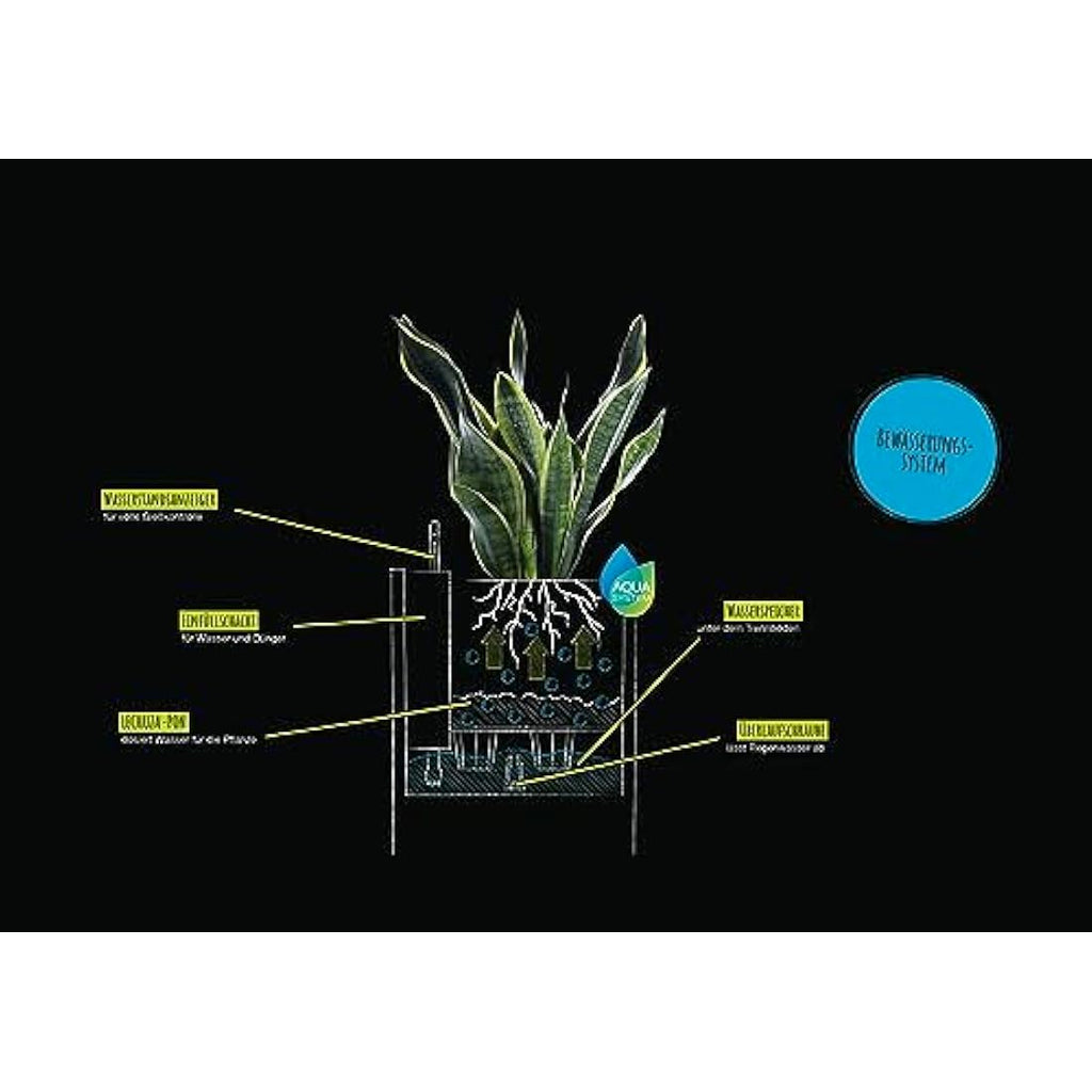 Lechuza CANTO Stone 40 High Self-Watering Planter | Graphite Black