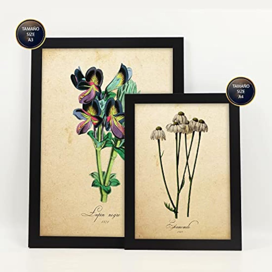 Nacnic Vintage Flower Posters | Set of 6 Framed Botanical Wall Art