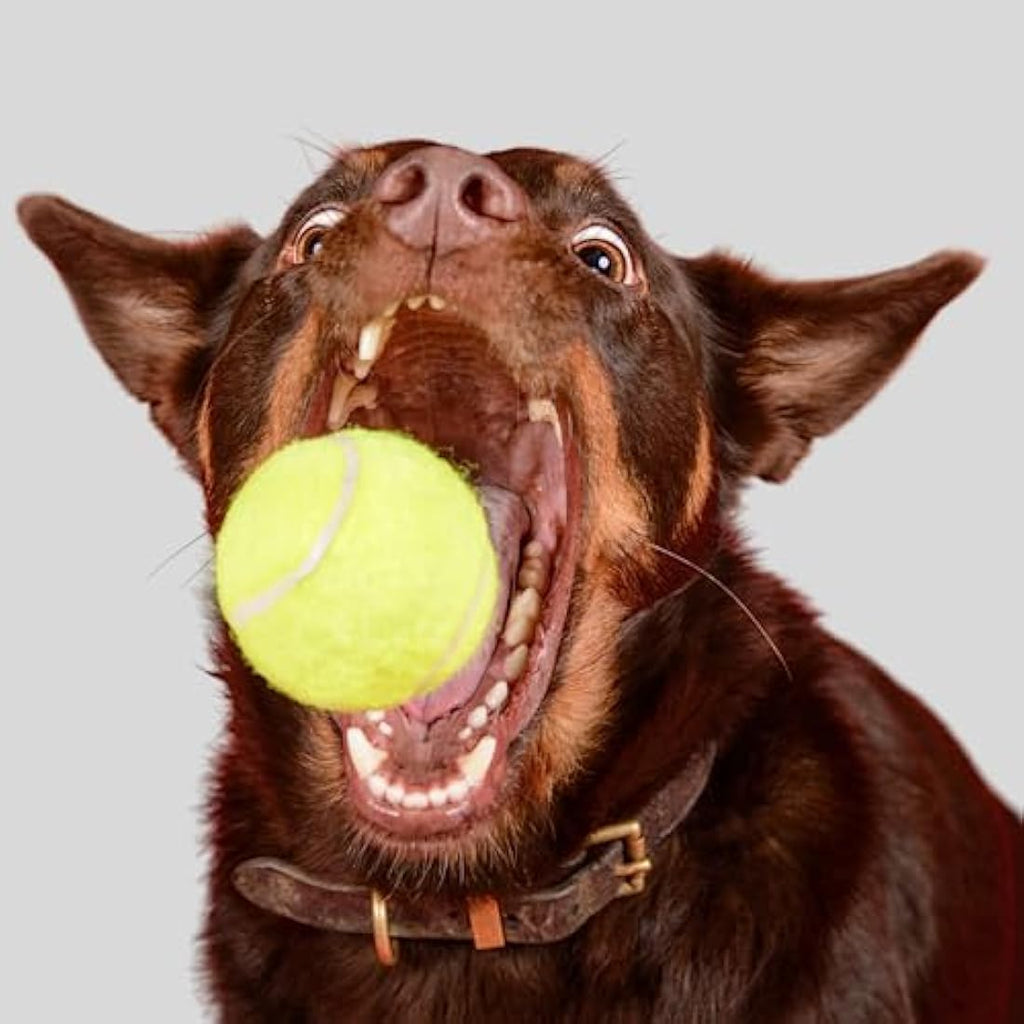 Indestructible Dog Tennis Balls – 20 Pack Durable Rubber Toys