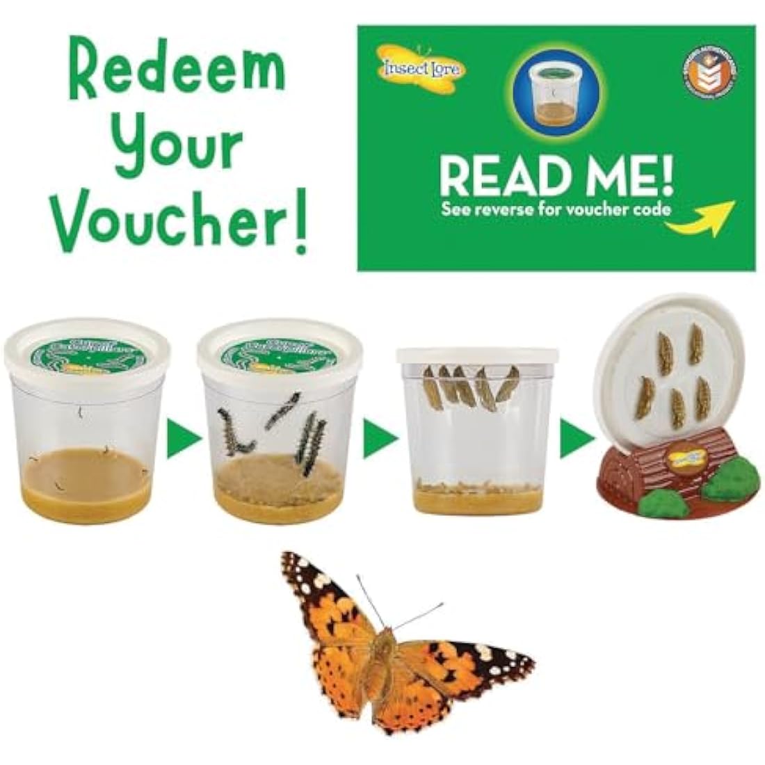 Insect Lore Giant Butterfly Garden Kit – STEM Educational Habitat