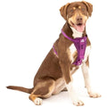 Jolof Store Crash Tested Dog Car Harness | No-Pull Smart Harness, Purple