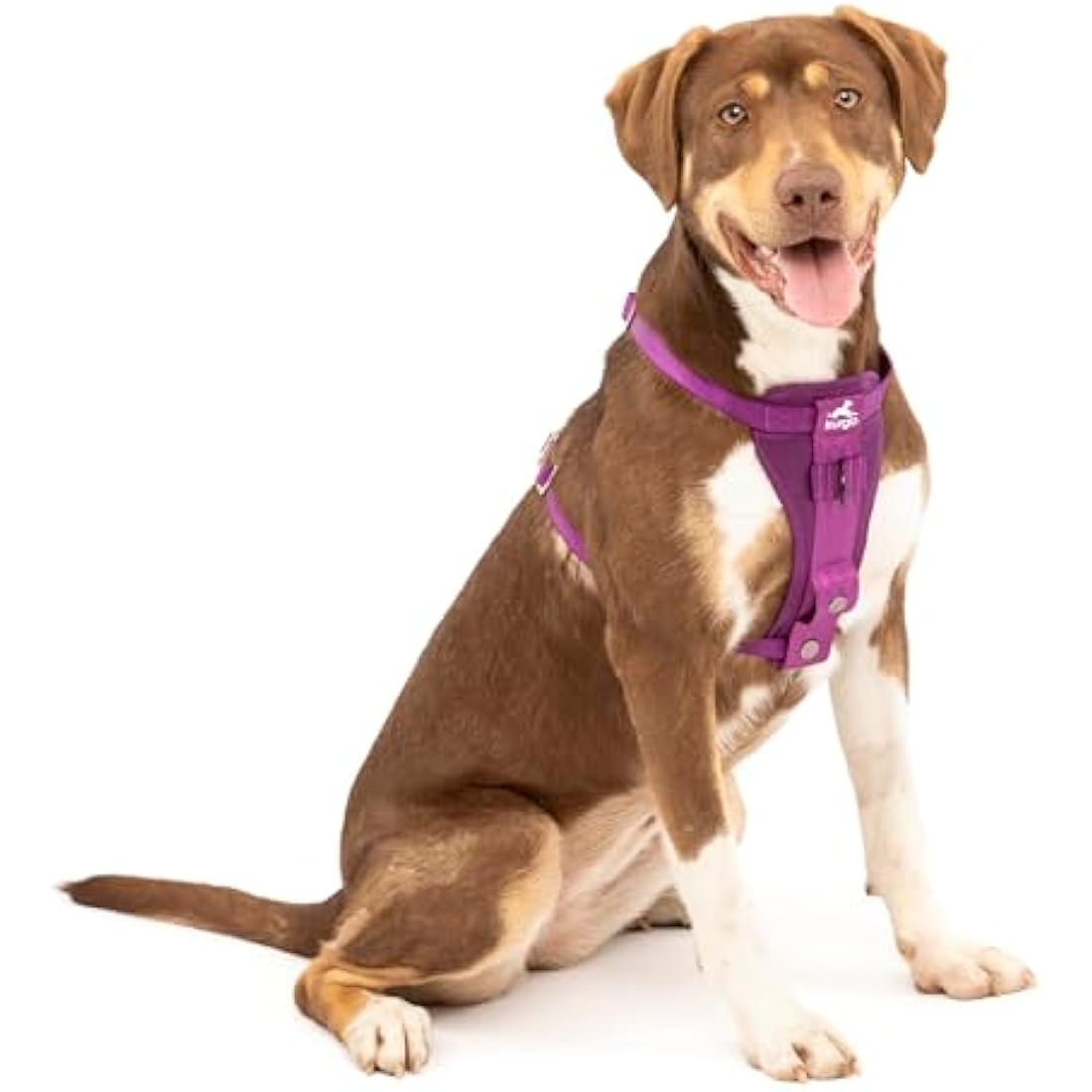 Jolof Store Crash Tested Dog Car Harness | No-Pull Smart Harness, Purple