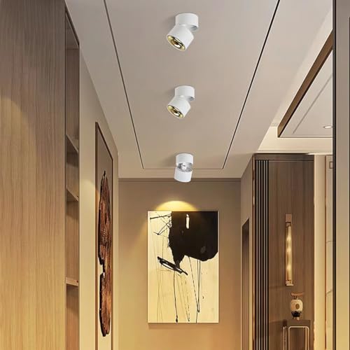 Budbuddy 12W LED Ceiling Spotlights | Adjustable White Surface Downlight