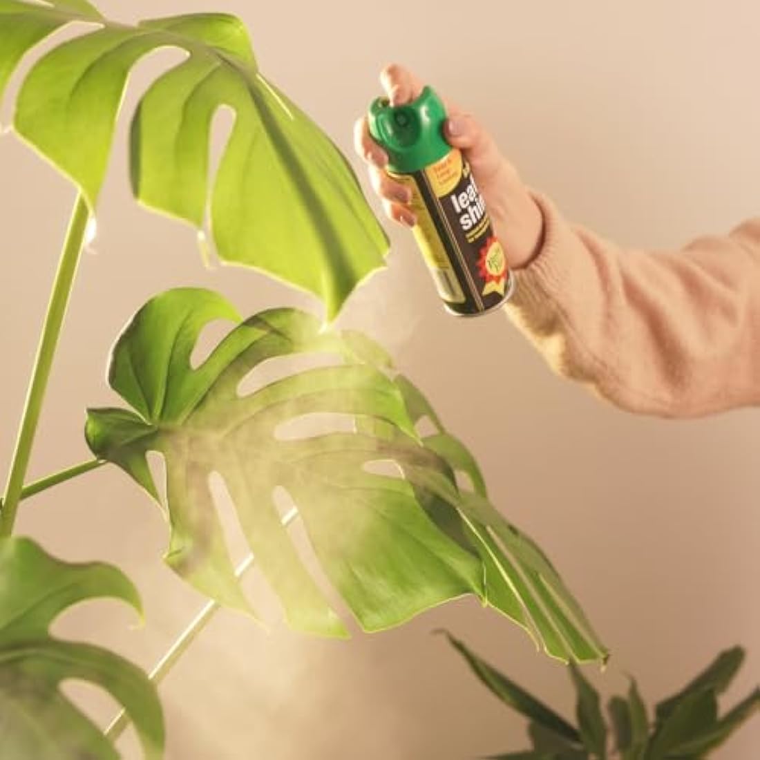 Baby Bio Leaf Shine – 200ml Aerosol Spray for Healthy Houseplant Leaves